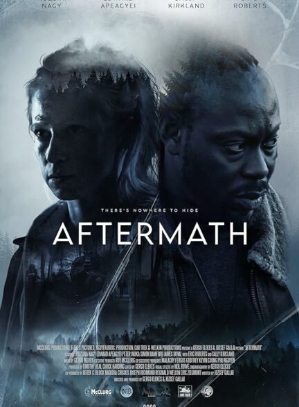 تماشای فیلم Aftermath 2024